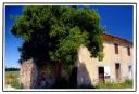 Casa Fellini a Gambettola