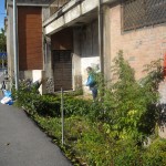 Fonte20091017 003