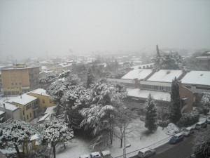 DSCN0008