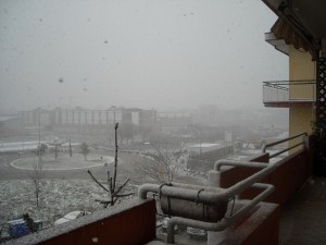 DSCN0011
