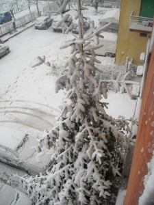 DSCN0015